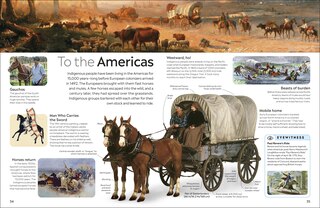 Aper&ccedil;u du contenu 4_Eyewitness Horse