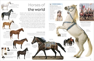 Sample content 4_Eyewitness Horse