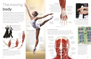 Aper&ccedil;u du contenu 4_Eyewitness Human Body