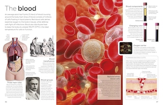 Aper&ccedil;u du contenu_Eyewitness Human Body