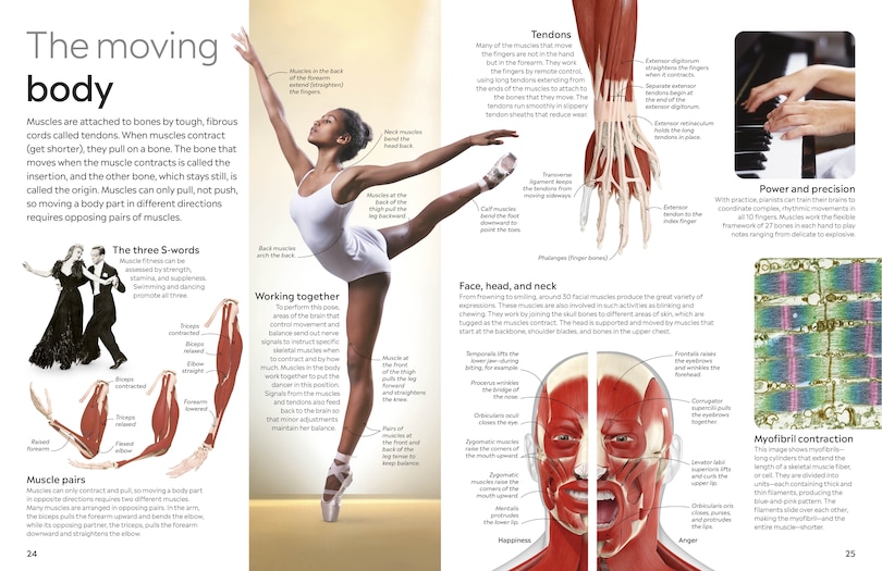 Aper&ccedil;u du contenu 4_Eyewitness Human Body