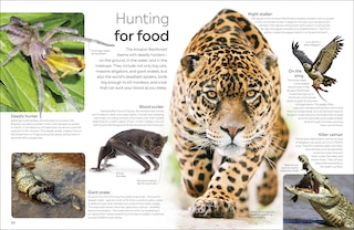 Aper&ccedil;u du contenu_Eyewitness The Amazon