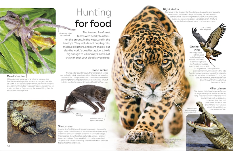 Aper&ccedil;u du contenu_Eyewitness The Amazon