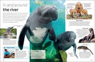 Aper&ccedil;u du contenu 2_Eyewitness The Amazon