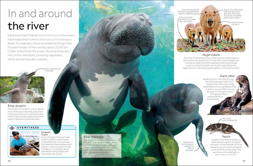 Aper&ccedil;u du contenu 2_Eyewitness The Amazon