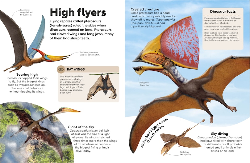 Sample content_Eyewonder Dinosaurs