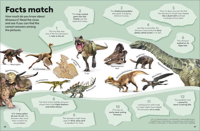 Sample content 4_Eyewonder Dinosaurs