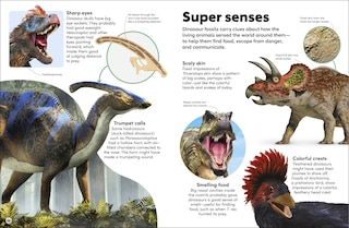Sample content 5_Eyewonder Dinosaurs