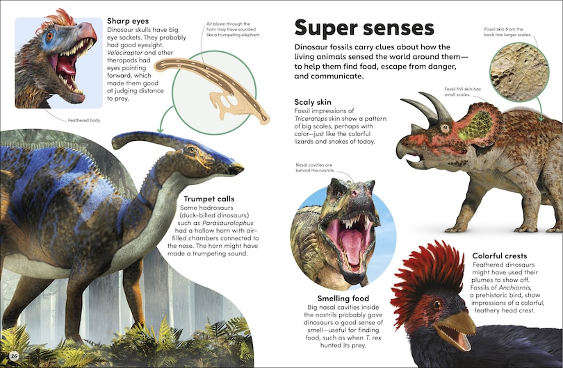 Sample content 5_Eyewonder Dinosaurs