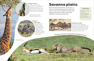 Sample content_Eyewonder Mammals