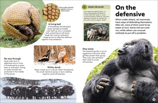 Sample content 2_Eyewonder Mammals