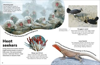 Aper&ccedil;u du contenu 5_Eyewonder Volcanoes