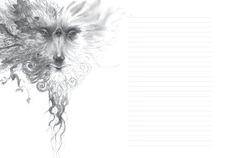Sample content 4_Faeries of the Faultlines: Faery Journal
