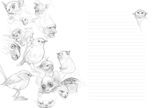 Sample content 5_Faeries of the Faultlines: Faery Journal