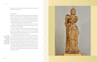 Aperçu du contenu 5_Faeries