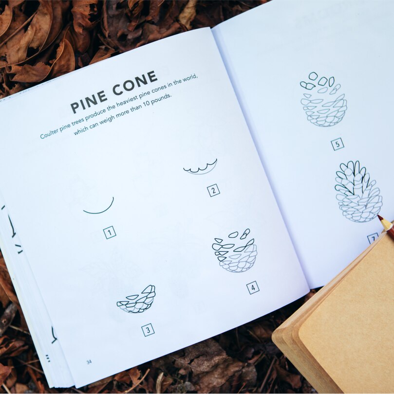 Sample content 4_Fall Things: How to Draw Books for Kids with Pumpkins, Scarecrows, Turkeys and More