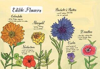 Sample content_Farm Anatomy