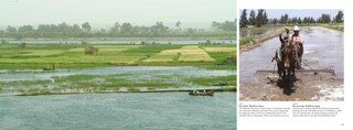 Sample content 4_FARMING