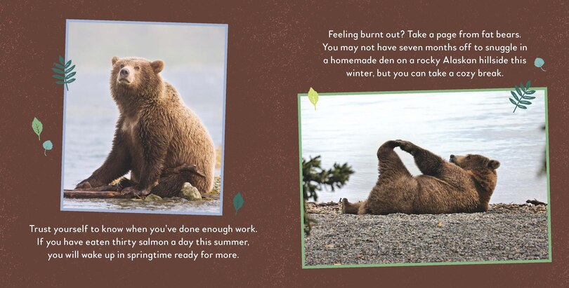 Aper&ccedil;u du contenu_Fat Bear Self-Care