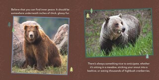 Aper&ccedil;u du contenu 2_Fat Bear Self-Care