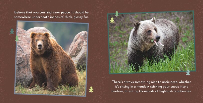 Aper&ccedil;u du contenu 2_Fat Bear Self-Care