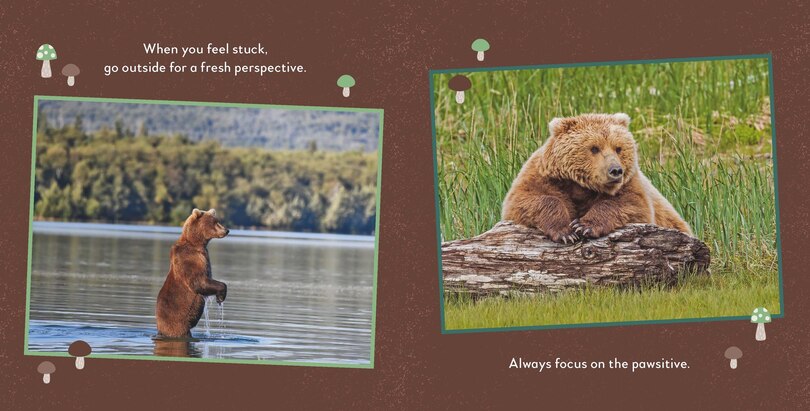 Aper&ccedil;u du contenu 3_Fat Bear Self-Care