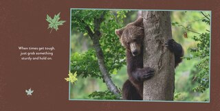 Aper&ccedil;u du contenu 5_Fat Bear Self-Care