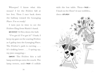 Sample content_Fenway And The Frisbee Trick