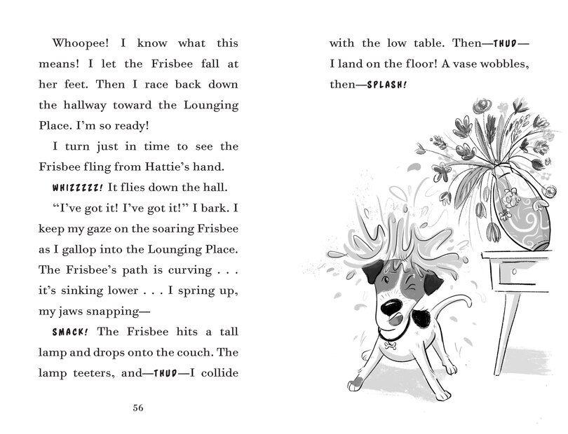 Sample content_Fenway And The Frisbee Trick