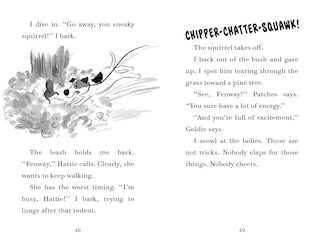 Sample content 2_Fenway And The Frisbee Trick