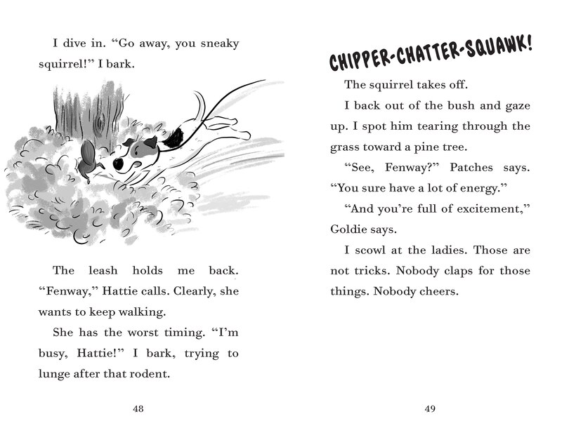 Sample content 2_Fenway And The Frisbee Trick