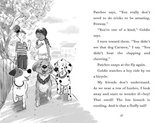 Sample content 3_Fenway And The Frisbee Trick