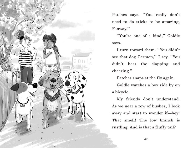 Sample content 3_Fenway And The Frisbee Trick