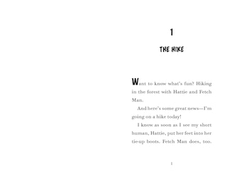 Sample content 5_Fenway and the Great Escape