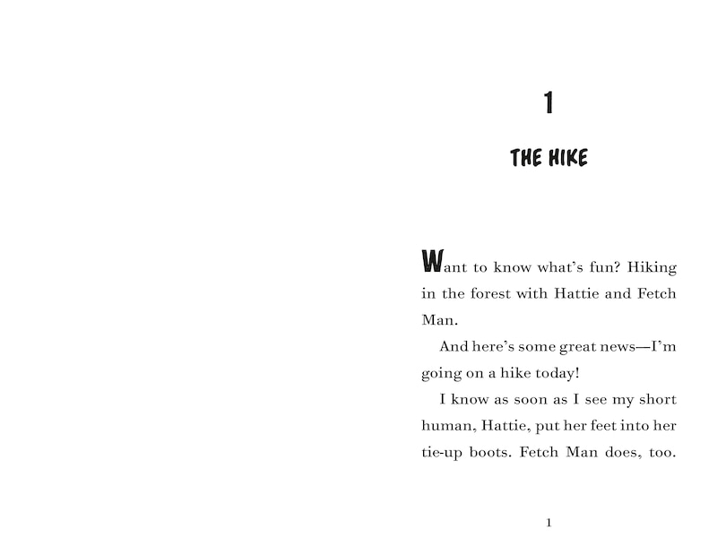 Sample content 5_Fenway and the Great Escape