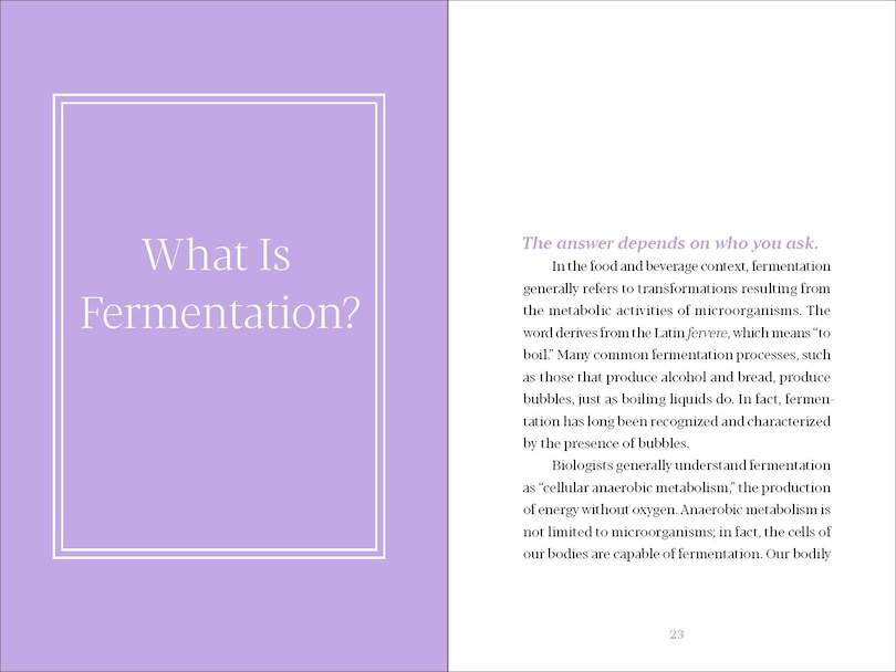 Sample content 2_Fermentation