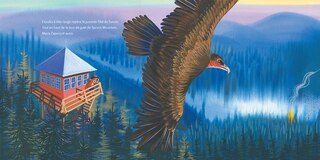 Sample content_Feux de for&ecirc;t!