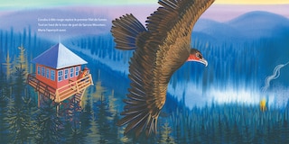 Aperçu du contenu_Feux de forêt!