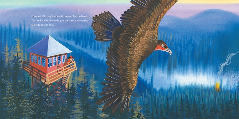 Aperçu du contenu_Feux de forêt!