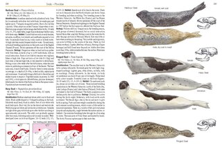 Sample content 3_Field Guide to Mammals of Europe, North Africa and the Middle East