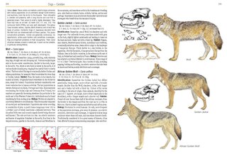 Sample content 4_Field Guide to Mammals of Europe, North Africa and the Middle East