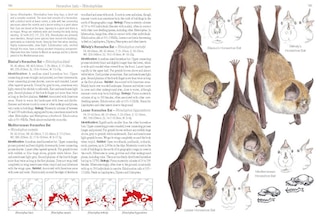 Sample content 5_Field Guide to Mammals of Europe, North Africa and the Middle East