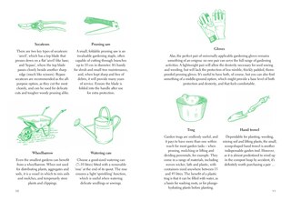 Aper&ccedil;u du contenu 3_Fifty Things to Do in the Garden