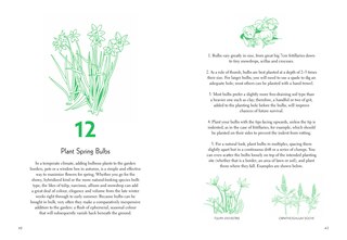 Aper&ccedil;u du contenu 5_Fifty Things to Do in the Garden