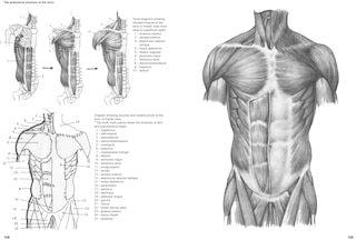 Sample content 2_Figure Drawing: A Complete Guide
