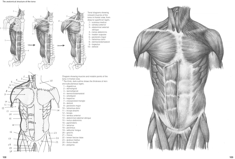 Sample content 2_Figure Drawing: A Complete Guide