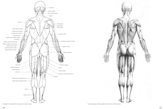 Sample content 3_Figure Drawing: A Complete Guide