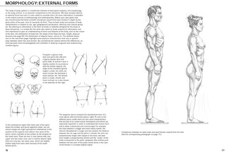 Sample content 5_Figure Drawing: A Complete Guide