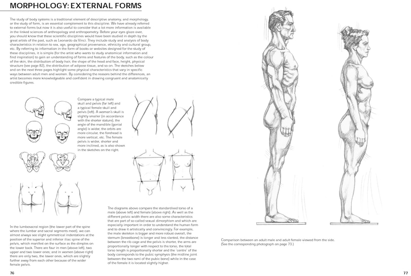 Sample content 5_Figure Drawing: A Complete Guide