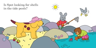 Aper&ccedil;u du contenu 2_Find Spot at the Beach